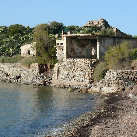 Gangdigiorgia *