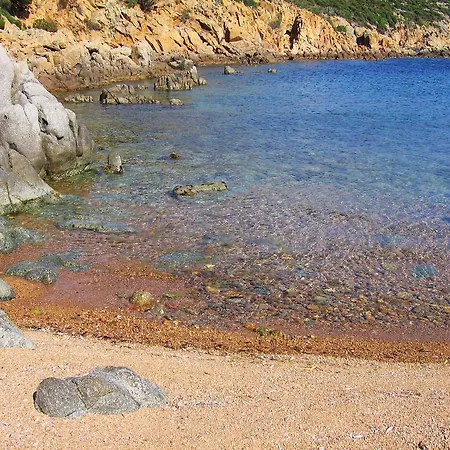 Gangdigiorgia *
